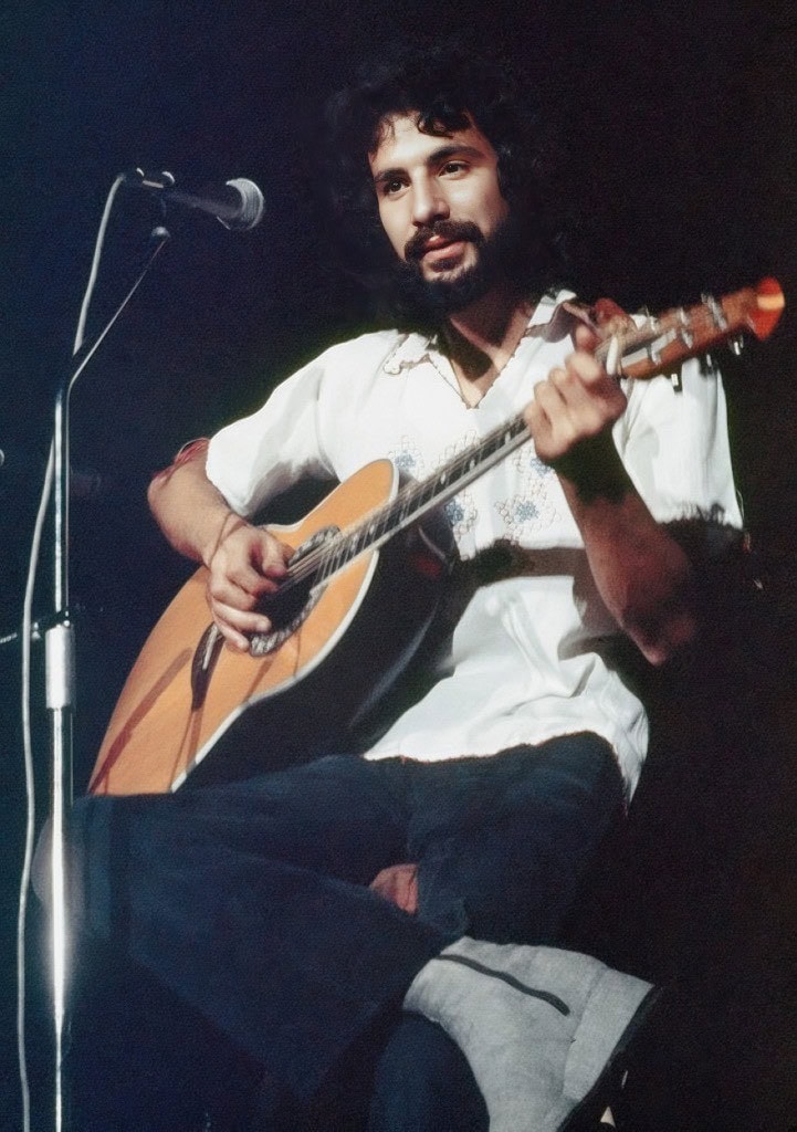 Cat Stevens –  Cat’s In The Cradle (1974)